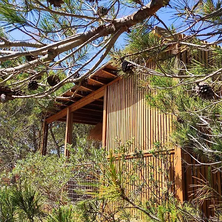 Hotel Occitana Calvisson