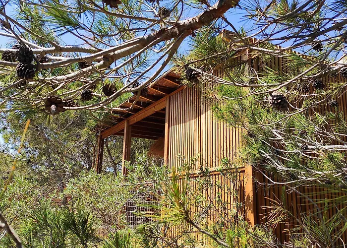 Hotel Occitana Calvisson